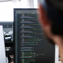 IT Specialist