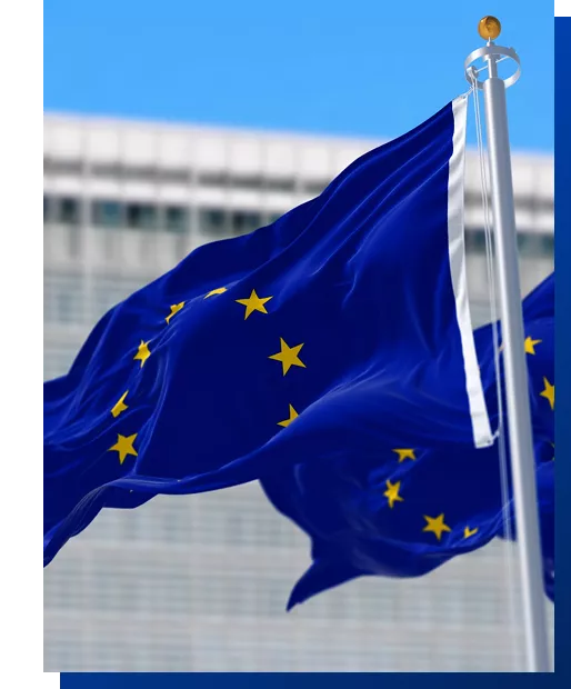 EU flags
